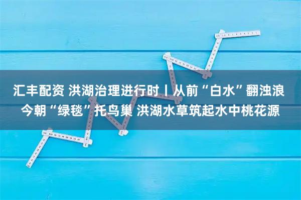 汇丰配资 洪湖治理进行时丨从前“白水”翻浊浪 今朝“绿毯”托鸟巢 洪湖水草筑起水中桃花源