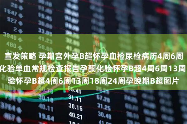 宣发策略 孕期宫外孕B超怀孕血检尿检病历4周6周怀孕B超怀孕血检HCG化验单血常规检查报告孕酮化验怀孕B超4周6周13周18周24周孕晚期B超图片