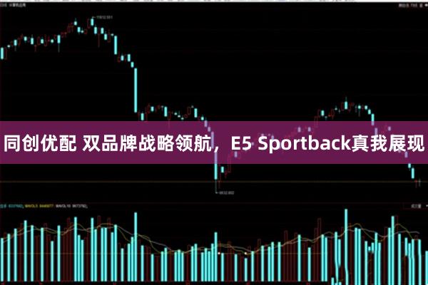 同创优配 双品牌战略领航，E5 Sportback真我展现
