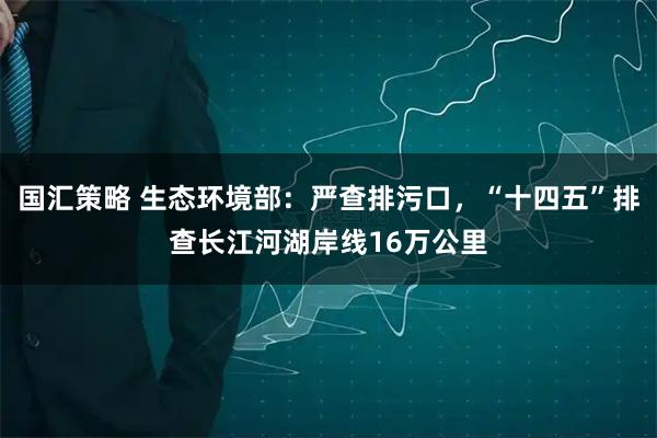 国汇策略 生态环境部：严查排污口，“十四五”排查长江河湖岸线16万公里